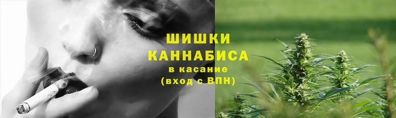 сколько стоит  OMG ссылки  Конопля Bruce Banner  Бежецк 